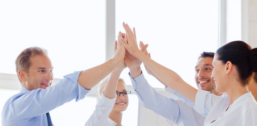 Software Development